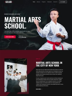 martial-arts-600x800-1.jpg