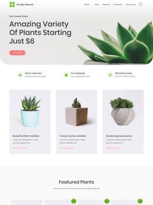 website-plant-store.jpg